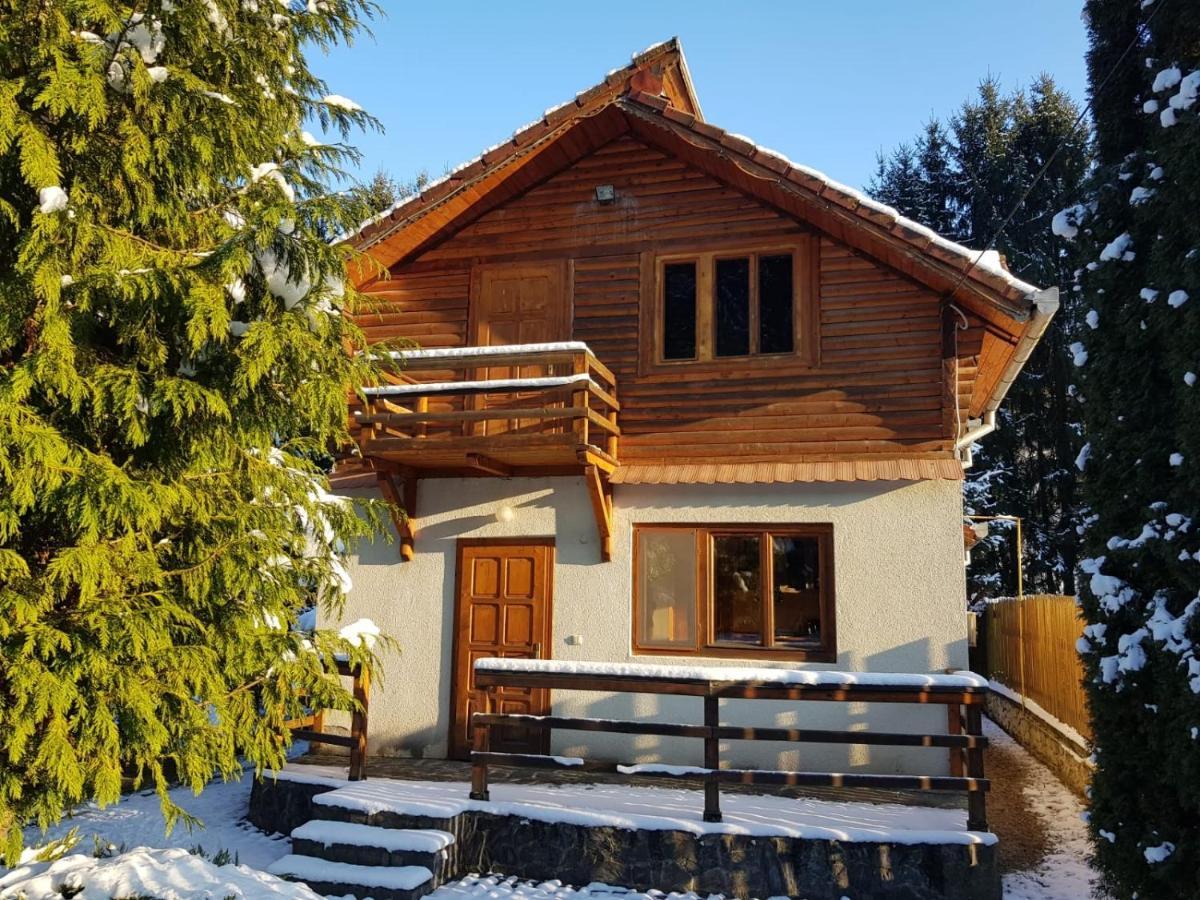 Cabana Dintre Brazi Mintia Exterior photo