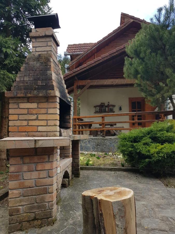 Cabana Dintre Brazi Mintia Exterior photo