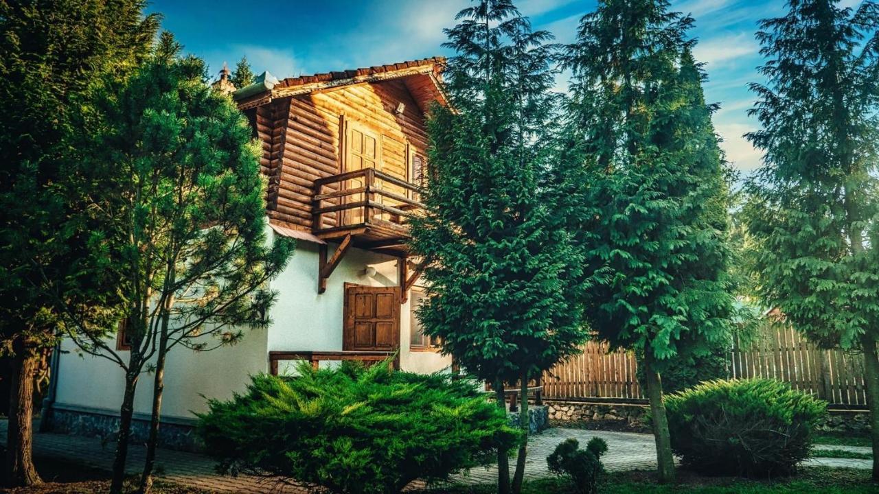Cabana Dintre Brazi Mintia Exterior photo