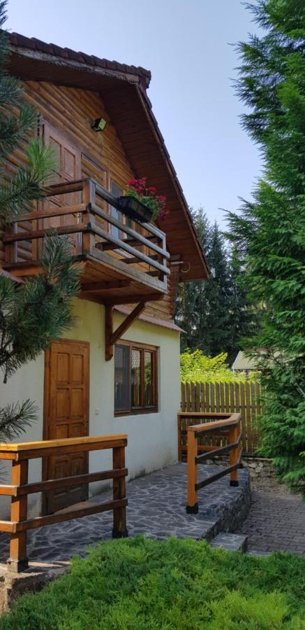 Cabana Dintre Brazi Mintia Exterior photo