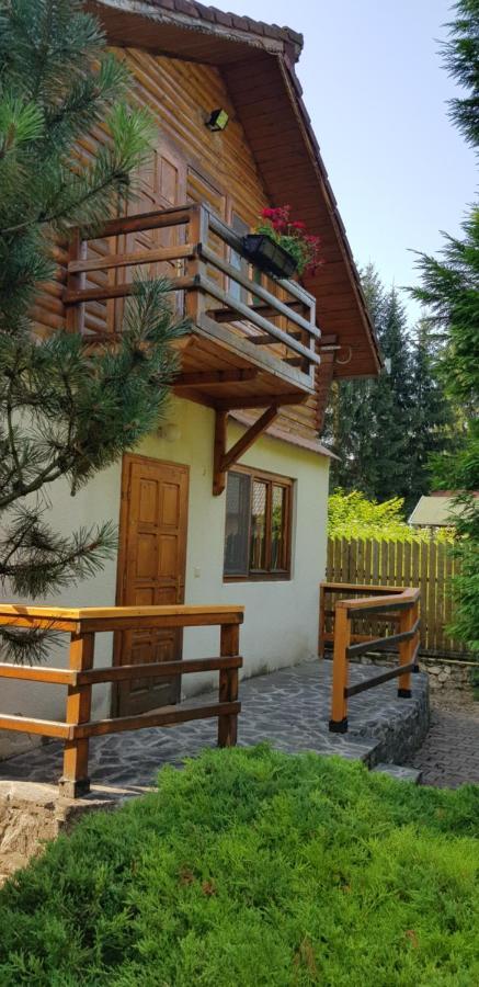 Cabana Dintre Brazi Mintia Exterior photo